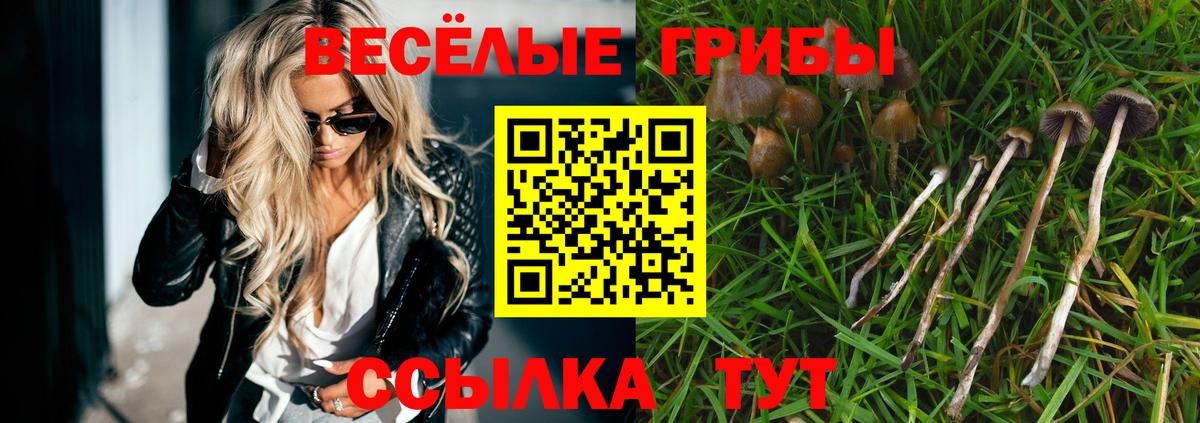 Псилоцибиновые грибы мицелий Стрежевой
