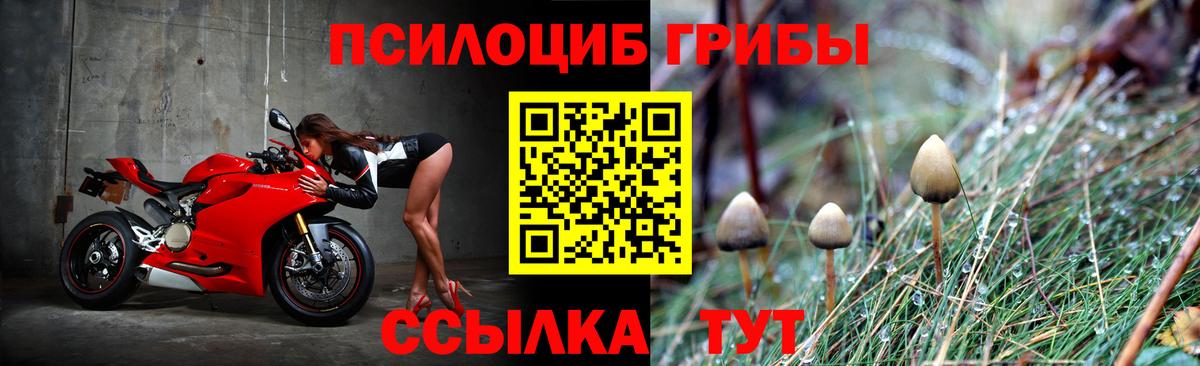 Псилоцибиновые грибы MAGIC MUSHROOMS  Галлюциногенные грибы Psilocybine cubensis  Вход с VPN  Стрежевой 